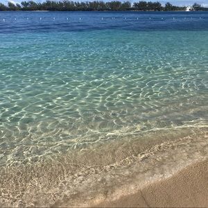 Meet your Posher, Diana